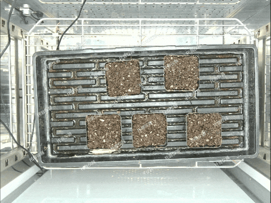 fdd69cb0aa89770c0c362266e1bdcc44_640.gif