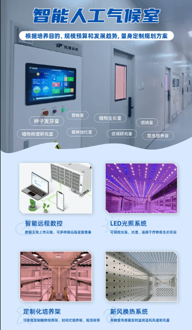 90d6ae624ced56ce648bb0b581753a37_image-47.png