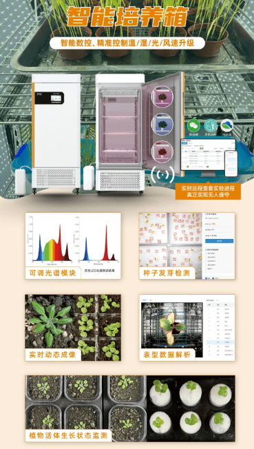 569ffd6e3e4562b3183ad68e2e50bd31_image-50.png